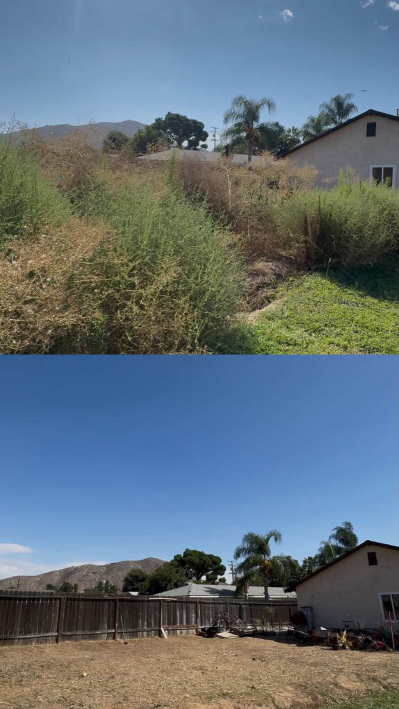 4859630f cb78 4299 b889 5b4a3f949e72